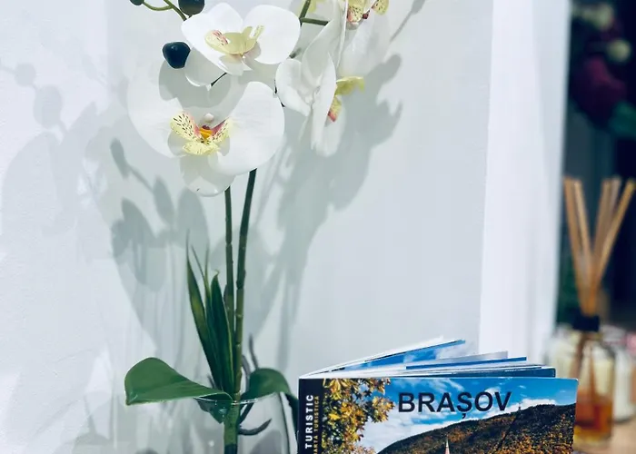 Kronstadt - Gara Apartment